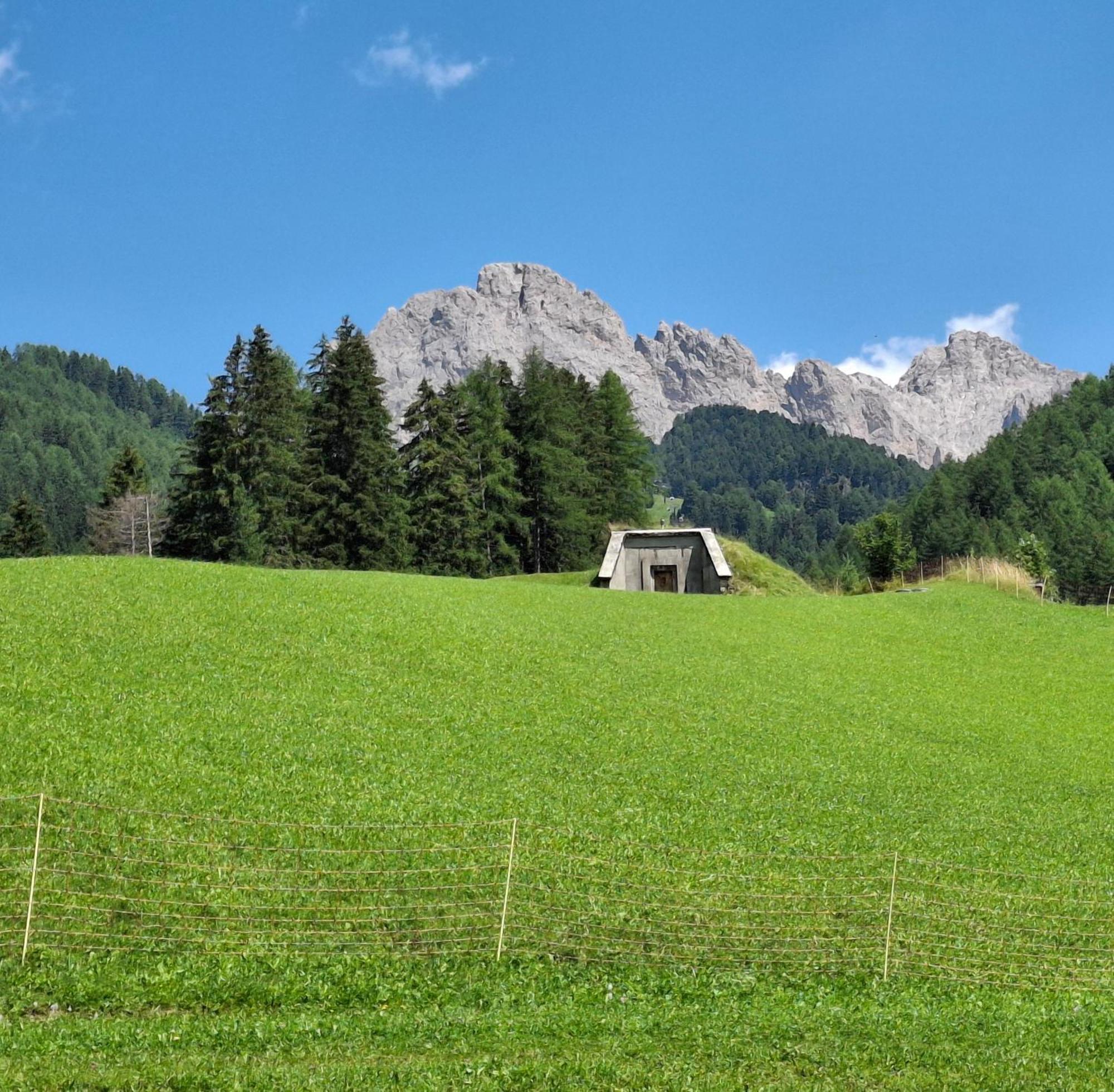 Villa Sella Selva di Val Gardena Exterior foto